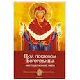 russische bücher: Печерская А. - Под покровом Богородицы. Мир чудотворных икон