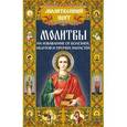 russische bücher: Михалицын П.Е. - Молитвы на избавление от недугов и прочих напастей