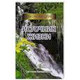 russische bücher: Светлана Калашникова - Источник жизни