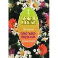 russische bücher: И. Киянова - Божья аптека. Лечение простудно-вирусных заболеваний
