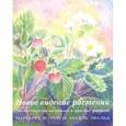 russische bücher: Маргарет Кохун, Аксель Эвальд - Новое видение растений. Рабочая книга для наблюдений и зарисовок растений