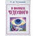 russische bücher: Успенский П. - В поисках чудесного