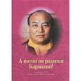 russische bücher: Кармапа XVI Рангджунг Ригпе Дордже - А потом он родился Кармапой!
