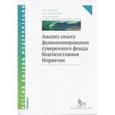 russische bücher: Ибраев Руслан Хайдарович - Анализ опыта функционирования суверенного фонда благосостояния Норвегии