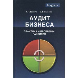russische bücher: Под ред. Булыги Р.П. - Аудит бизнеса. Практика и проблемы развития. Монография