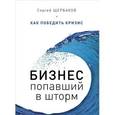 russische bücher: Щербаков С А - Бизнес, попавший в шторм. Как победить кризис