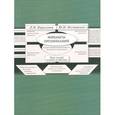 russische bücher: Нестеренко Юлия Николаевна - Финансы организаций. Курс лекций в схемах и таблицах