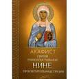 russische bücher:  - Акафист святой равноапостольской Нине, просветительнице Грузии