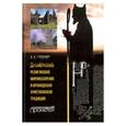 russische bücher: Симонова Анастасия Александровна - Древнерусское религиозное мировоззрение и ирландская христианская традиция