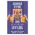 russische bücher:  - "Живоносный источник" икона Пресвятой Богородицы. Чудеса, акафист, канон, молитвы, информация для паломников