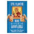 russische bücher:  - "Трех Радостей" икона Пресвятой Богородицы. Чудеса, акафист, канон, молитвы, информация для паломников