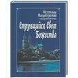 russische bücher: Магдебургская Мехтильда - Струящийся свет Божества