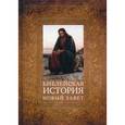 russische bücher: Лопухин Александр Павлович - Библейская история. Новый  Завет