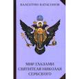 russische bücher: Катасонов Валентин Юрьевич - Мир глазами святителя Николая Сербского
