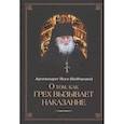 russische bücher: Архимандрит Наум (Байбородин) - О том, как грех вызывает наказание
