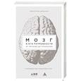 russische bücher: Дубынин В. - Мозг и его потребности: От питания до признания
