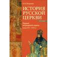 russische bücher: Петрушко Владислав Игоревич - История Русской Церкви. Первый патриарший период (конец XVI - XVII в.)