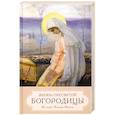 russische bücher:  - Жизнь пресвятой Богородицы. Из книг Четьи-Минеи