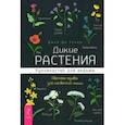 russische bücher: Уокер Джей Ди - Дикие растения. Руководство для ведьмы. Обычные травы для необычной магии
