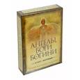russische bücher: Салерно Тони Кармин - Ангелы, боги и богини. Ответы на ваши вопросы (45 карт + инструкция)
