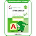 russische bücher: Денисова Д. - Большая рабочая тетрадь. Уроки грамоты в детском саду и дома. 3-4 года. ФГОС