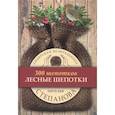 russische bücher: Степанова  Н.И. - Лесные шепотки