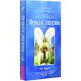 russische bücher: Уэбстер Ричард - Оракул ангелов. 40 карт