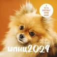 :  - Шпицы. Календарь настенный на 2024 год