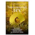 Таинственный лес. Как диалог с бессознательным помогает выйти из жизненного тупика
