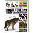 russische bücher: Диршке Ф., Гминдер А., и др. - Энциклопедия животных и растений