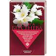 russische bücher: Анна Берсенева  - Кристалл Авроры 