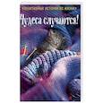 russische bücher: Шумак Наталья, Чернецкая Татьяна - Чудеса случаются!