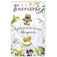 russische bücher: Вера Колочкова - Провинциальная Мадонна