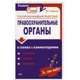 russische bücher: Авдонкин В.С. - Правоохранительные органы в схемах с комментариями: Учебное пособие.