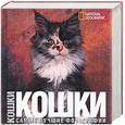 russische bücher:  - Кошки. Самые лучшие фотографии