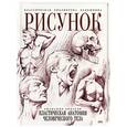 russische bücher: Чиварди - Рисунок. Пластическая анатомия человеческого тела.