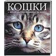 russische bücher: Федин С. - Кошки - это духи, спустившиеся на землю