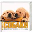 russische bücher:  - Собаки. Самые лучшие фотографии