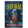 russische bücher: Шторм - Новеллы (на немецком языке)