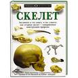 russische bücher:  - Скелет