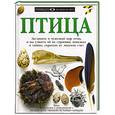 russische bücher: Дэвид Берни - Птица
