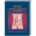 russische bücher: Джерми К. - Атлас скелетно-мышечной анатомии