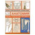 russische bücher: Венюковой В.Е. - Скелет и мускулы человека