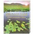 russische bücher:  - Ирландия. Остров раскрывает тайны