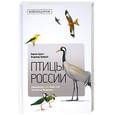 russische bücher: Арлотт Н., Храбрый В. - Птицы России