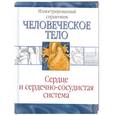 russische bücher: Борисова И. - Сердце и сердечно-сосудистая система: Иллюстрированный справочник
