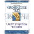 russische bücher:  - Скелет и мускулы человека: Иллюстрированный справочник