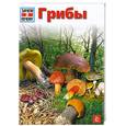 russische bücher: Херрман Х. - Грибы. Энциклопедия