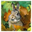 russische bücher:  - Календарь перекидной-2011 (Год Кролика) Арт. 19.2