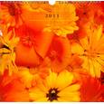 russische bücher:  - Календарь перекидной-2011 (Цветочный ковер) Арт. 17.3 П